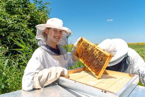 apiculture locale